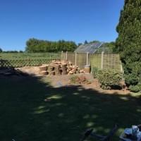 After the removal of group of leylandi trees in fakenham