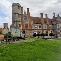 Old Hall stiffkey Tree works