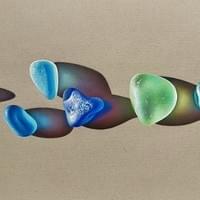 Iridescent beauty Iridescent beauty