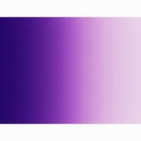 Automotive-Purple on Purple Automotive-Purple on Purple