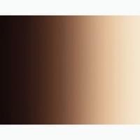 Automotive-Brown on Brown Automotive-Brown on Brown