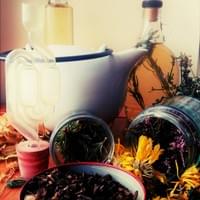 Hedgerow Teas Foraging Walk Hedgerow Teas Foraging Walk
