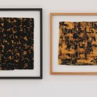 Écorce vieillit, 46x57 cm / Écorce naturelle, 51x51 cm - Vendus 