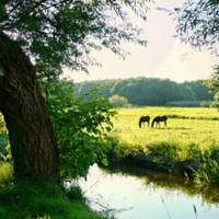 Almen, een klein dorp aan de Berkel, prachtige natuur en waterlopen. Hier vindt De Meesterproef plaats, hier werkt u, hier overnacht u. Almen, een klein dorp aan de Berkel, prachtige natuur en waterlopen. Hier vindt De Meesterproef plaats, hier werkt u, hier overnacht u.