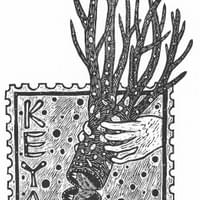 「ケヤキスタンプ/Japanese zelkova stamp」2021 (⽔⼾芸術館現代美術ギャラリー・茨城) 「ケヤキスタンプ/Japanese zelkova stamp」2021 (⽔⼾芸術館現代美術ギャラリー・茨城)