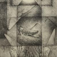 Into the unknown world 2011 51cm x 36 cm lithograph on paper