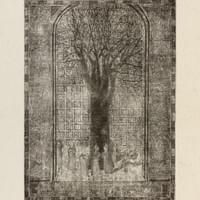 Ancient of Light, Water and Tree#1 Ancient of Light, Water and Tree#1