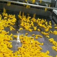 IQF Yellow Peaches Factory IQF Yellow Peaches Factory