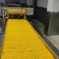 IQF Frozen Yellow Peaches IQF Frozen Yellow Peaches