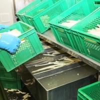 IQF Frozen Green Asparagus IQF Frozen Green Asparagus