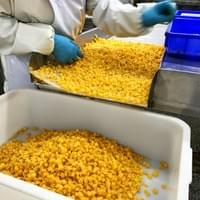 IQF Yellow Peach Supplier IQF Yellow Peach Supplier