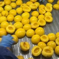 Frozen Yellow Peach Supplier Frozen Yellow Peach Supplier