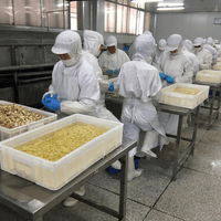 frozen garlic supplier frozen garlic supplier