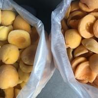 Bulk Frozen Yellow Peaches Bulk Frozen Yellow Peaches