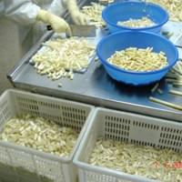 IQF Frozen White Asparagus IQF Frozen White Asparagus