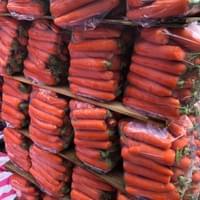 frozen carrot supplier frozen carrot supplier