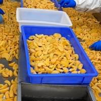 Frozen Sliced Yellow Peach Frozen Sliced Yellow Peach