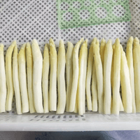 IQF frozen white asparagus IQF frozen white asparagus