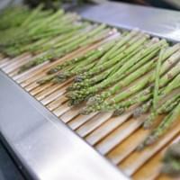 IQF Frozen Green Asparagus IQF Frozen Green Asparagus
