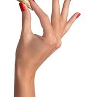 Hand model Hand model