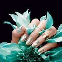 Mannequin Mains Cosmétique Mannequin Mains Cosmétique