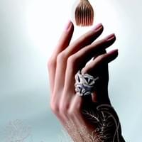 Mannequin Mains Joaillerie Mannequin Mains Joaillerie