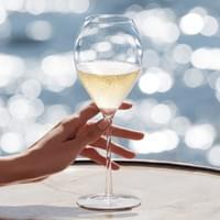 Hand Model Food Hand Model Food