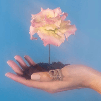 Mannequin Mains Parfumerie Mannequin Mains Parfumerie