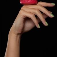 Hand Model Food Hand Model Food