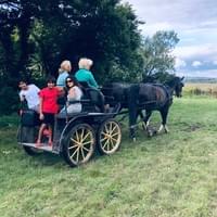 Amy & her 2 nephews on a carriage ride after Amy’s lesson. 😊