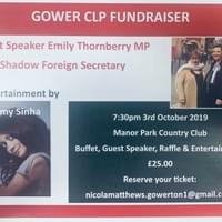 A fundraiser Amy performed at!