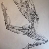 Ostéopathe Moréac Ostéopathe Moréac