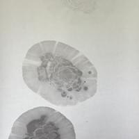 心迹 水墨纸面 69x137cm 心迹 水墨纸面 69x137cm