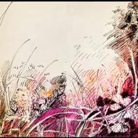 Grass, Fern, Strawberry, Moss Grass, Fern, Strawberry, Moss