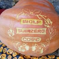 800 lb pumpkin 800 lb pumpkin