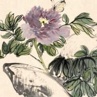 Copy 'Peony Album' Copy 'Peony Album'