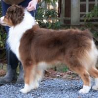 Ben @ 11 yrs. old - photo by Paramount  Ben @ 11 yrs. old - photo by Paramount