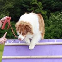 JR working on the A-frame. JR working on the A-frame.