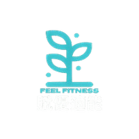 賦優適能 賦優適能