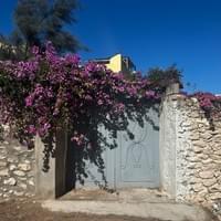 coming home to your cozy riad house coming home to your cozy riad house