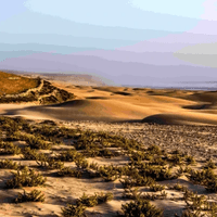 endless dune walks on deserted seashore endless dune walks on deserted seashore
