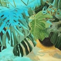Monstera-Dschungel Monstera-Dschungel