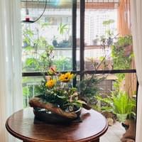 習美堂半日閑人文茶空間 習美堂半日閑人文茶空間