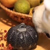 習美堂半日閑人文茶空間 習美堂半日閑人文茶空間