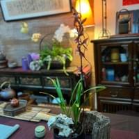 習美堂半日閑人文茶空間 習美堂半日閑人文茶空間