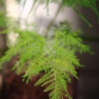 習美堂半日閑人文茶空間 習美堂半日閑人文茶空間