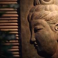 習美堂半日閑人文茶空間 習美堂半日閑人文茶空間