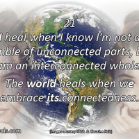 I heal when I know I’m not a jumble of unconnected parts, but am an interconnected whole. The world heals when we embrace its connectedness. I heal when I know I’m not a jumble of unconnected parts, but am an interconnected whole. The world heals when we embrace its connectedness.