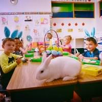 HPK Easter 2017 HPK Easter 2017