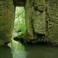 Section image